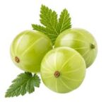 Amla