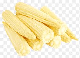 Baby Corn
