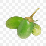 Green Brinjal