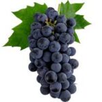 Black Grapes