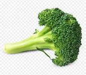 Brocolli