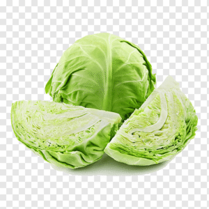 Cabbage