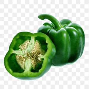 Capsicum