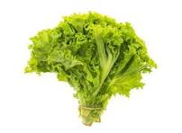 Lettuce
