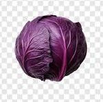Cabbage