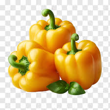 Yellow Bell Pepper